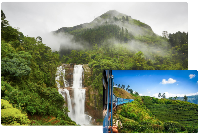 Serene Mornings in Nuwara Eliya